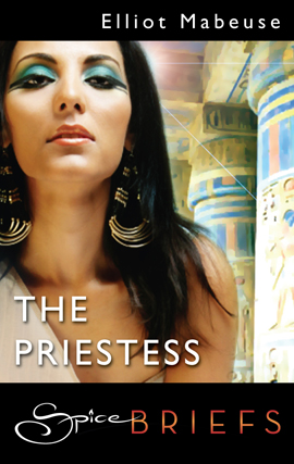Title details for The Priestess by Elliot Mabeuse - Available